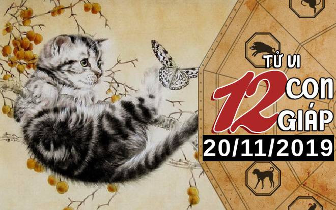 Tử vi thứ 4 ngày 20/11/2019 của 12 con giáp: Mão may mắn về tài chính, Thân không nên tự trách mình Ảnh 2