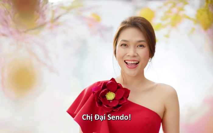 Sendo gọi thành công 61 triệu USD để ‘đốt nóng’ cạnh tranh TMĐT ở VN Ảnh 2