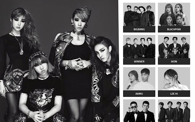 HOT: 2NE1 bị 'xóa sổ' khỏi website của YG: Sandara Park nghỉ việc! Ảnh 2