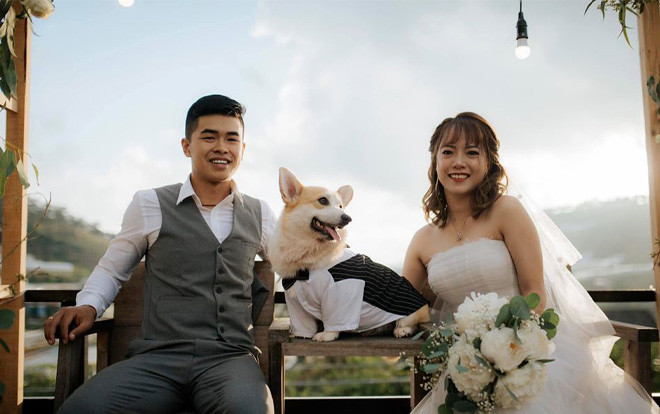 Cuộc sống như mơ của cặp đôi 9X rời bỏ phố thị, hẹn nhau 'về quê nuôi chó trồng rau' và cái kết viên mãn Ảnh 2