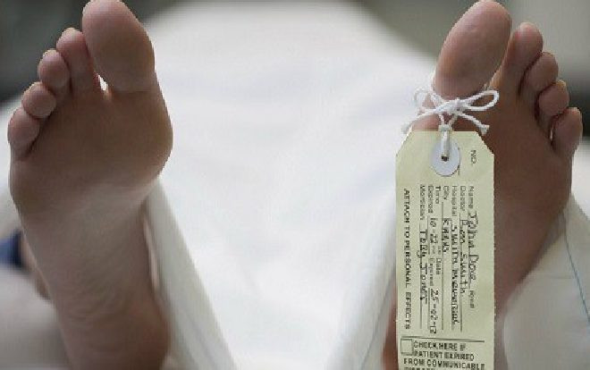 Trường ĐH ở Pháp chất đống hàng ngàn xác hiến tặng, nhiều thi thể bị chuột gặm nhấm Ảnh 2