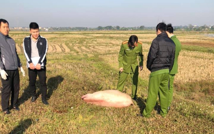 Phát hiện công an ra hiệu lệnh dừng xe, nam thanh niên tăng ga bỏ chạy rồi vứt xe máy cùng con lợn giữa đường Ảnh 2