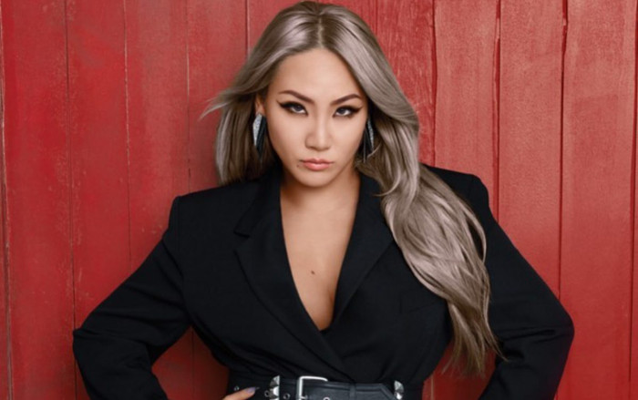 Fan 'giật mình' trước màn cám ơn có tâm nhất Instagram của CL Ảnh 2