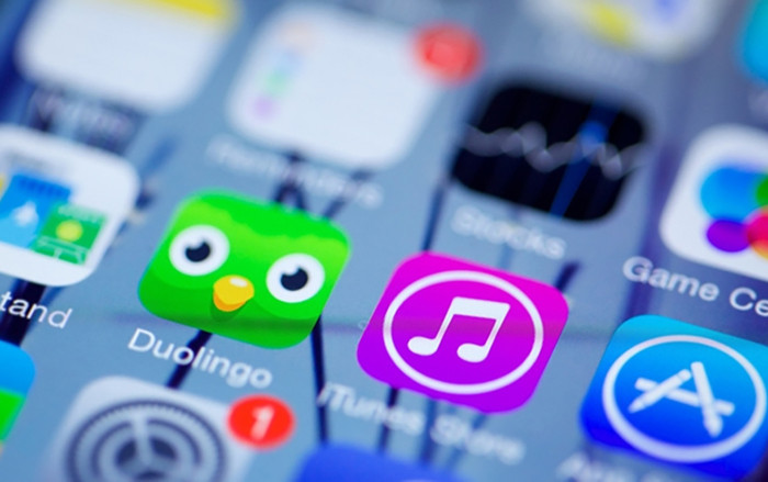 Ứng dụng học ngoại ngữ miễn phí Duolingo thành startup kì lân Ảnh 2