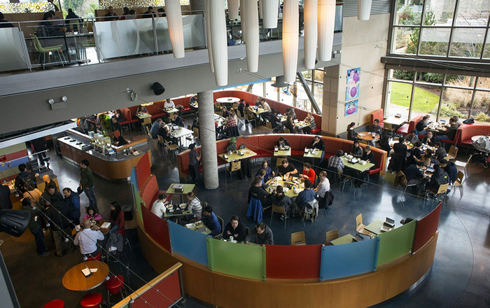 Google, Facebook, Apple không còn là những nơi làm việc trong mơ Ảnh 2