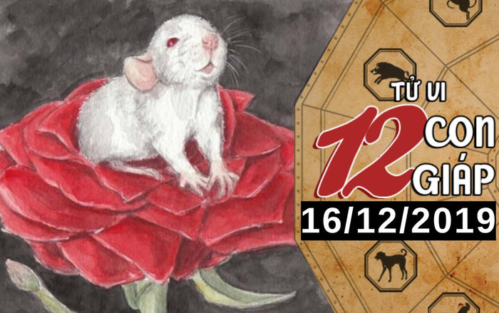Tử vi thứ 2 ngày 16/12/2019 của 12 con giáp: Tý có bước tiến tốt về tài chính, Dần gặp trở ngại trong công việc Ảnh 2