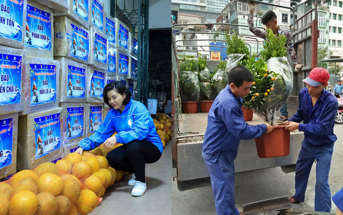 Hàng trăm cây quất, hàng nghìn quả bưởi… ‘cưỡi sóng’ mang Tết ra biển đảo Ảnh 2