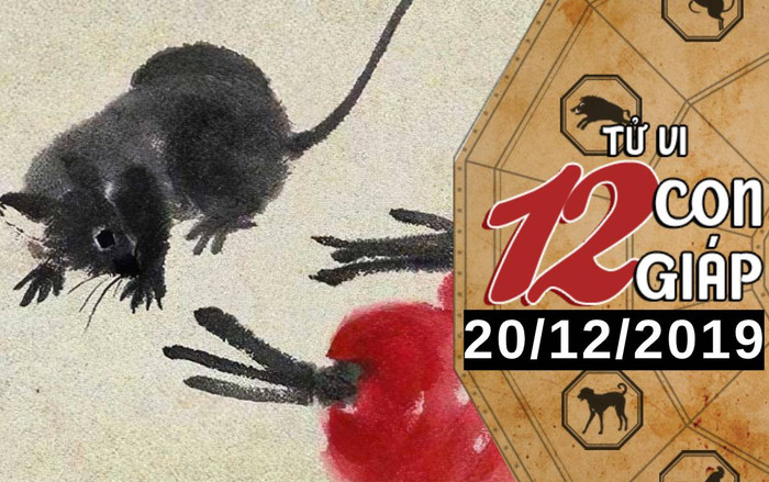Tử vi thứ 6 ngày 20/12/2019 của 12 con giáp: Tý đạt nhiều thành quả trong công việc, Dậu nên quan tâm đến sức khỏe Ảnh 2