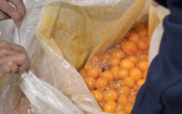 Bắt hơn 1 tấn trứng non, vịt thịt - món khoái khẩu của dân nhậu chuẩn bị ‘tuồn’ đến các nhà hàng ở Hà Nội Ảnh 2