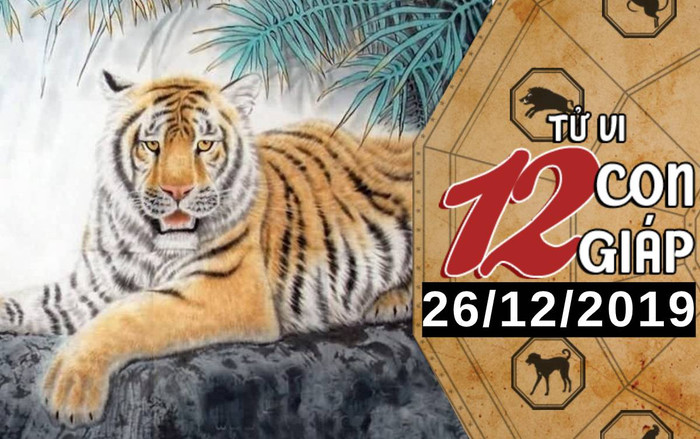Tử vi thứ 5 ngày 26/12/2019 của 12 con giáp: Dần gặp thay đổi bất ngờ trong công việc, Tý đề phòng tiểu nhân Ảnh 2
