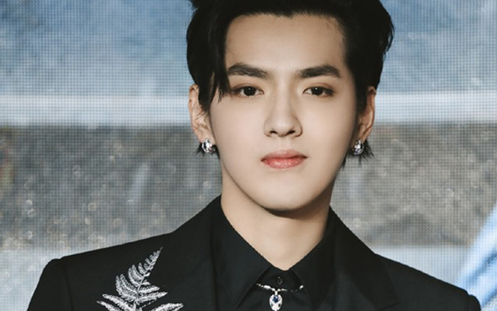 Quá cuồng idol đến mức trầm cảm, fan Ngô Diệc Phàm tự tử ngay trong đêm với hơn 30 viên thuốc chống say xe Ảnh 2