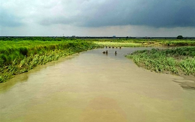 Phát hiện thi thể cô dâu Việt và chồng Đài Loan chết bí ẩn Ảnh 2