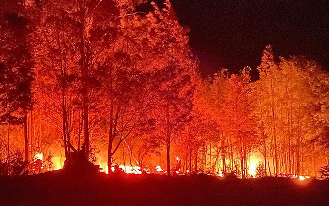 Giặc lửa vẫn hoành hành khắp Australia những ngày cuối năm 2019, hơn 30.000 người phải sơ tán Ảnh 2