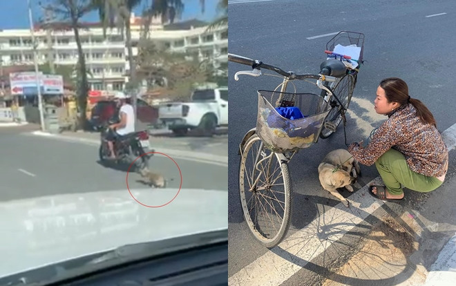 Phẫn nộ cảnh người đàn ông chạy xe máy kéo lê chú chó trên đường hàng trăm mét Ảnh 2