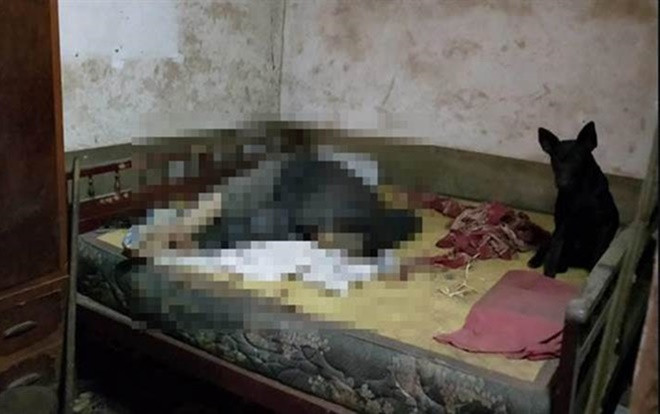 Ông lão độc thân chết vì lạnh, chú chó trung thành túc trực cạnh bên hơn 12 tiếng không rời Ảnh 2