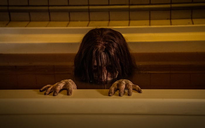 Phim kinh dị 'The Grudge - Lời nguyền': Khởi đầu đáng thất vọng của điện ảnh Hollywood 2020 Ảnh 2