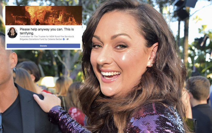 Bà mẹ 4 con nổi tiếng Instagram kêu gọi được 45 triệu USD cho nạn nhân cháy rừng ở Úc Ảnh 2