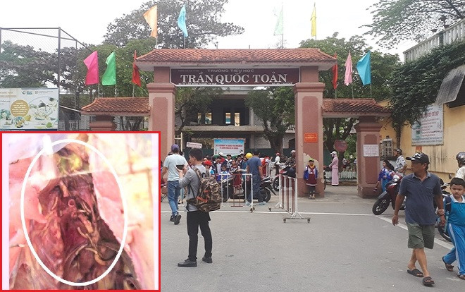 Làm rõ thông tin 'thịt gà có dòi' trong thức ăn của học sinh bán trú khiến dư luận xôn xao Ảnh 2