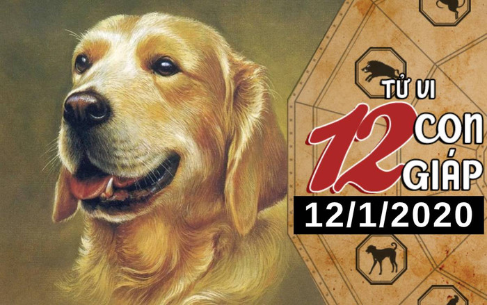 Tử vi chủ nhật ngày 12/1/2020 của 12 con giáp: Tuất gặp người tâm đầu ý hợp, Hợi có bước tiến lớn trong công việc Ảnh 2