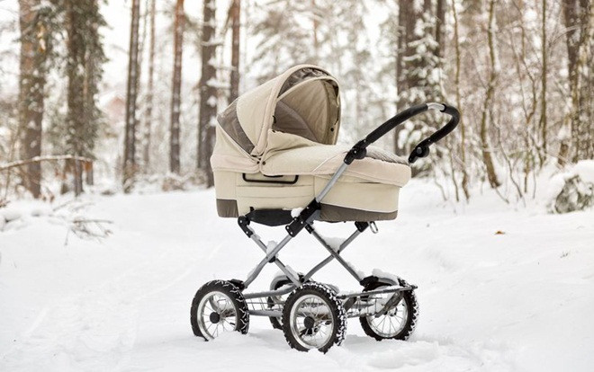 Bé trai 7 tháng tuổi chết cóng vì cha mẹ bỏ quên giữa trời lạnh âm độ Ảnh 2