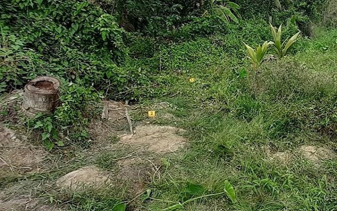 Đi thăm vườn, người đàn ông nguy kịch vì vướng vào bẫy điện của hàng xóm Ảnh 2