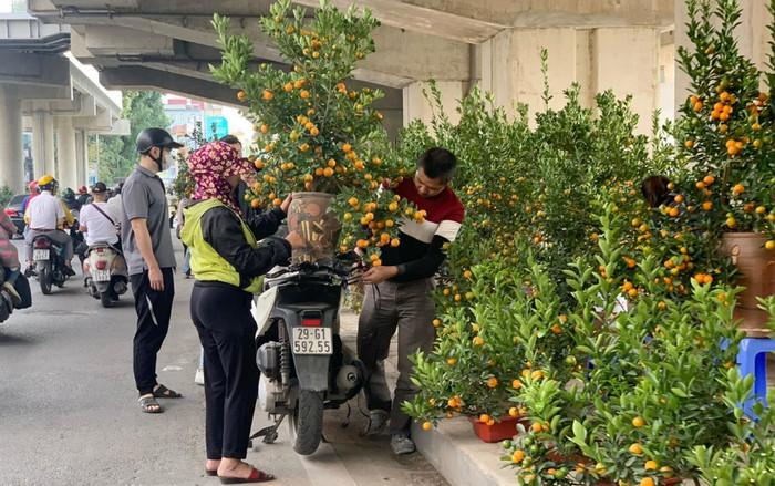 Vỉa hè, nhà ga đường sắt Cát Linh biến thành chợ tràn ngập đào quất Tết Ảnh 2