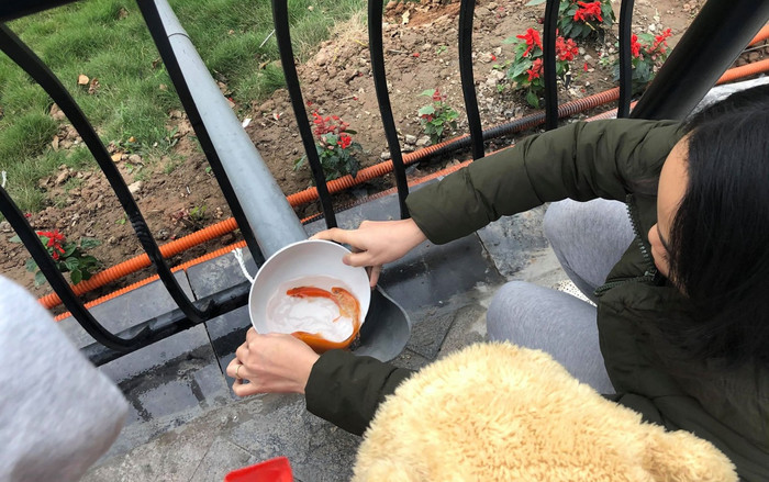 Người Hà Nội thích thú thả cá bằng ‘cầu trượt’ xuống hồ tiễn ông Công ông Táo về trời Ảnh 2