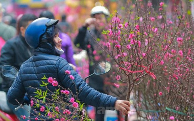 Dự báo thời tiết ngày 29 Tết (23/1): Gió mùa Đông Bắc tràn về, miền Bắc mưa rét Ảnh 2