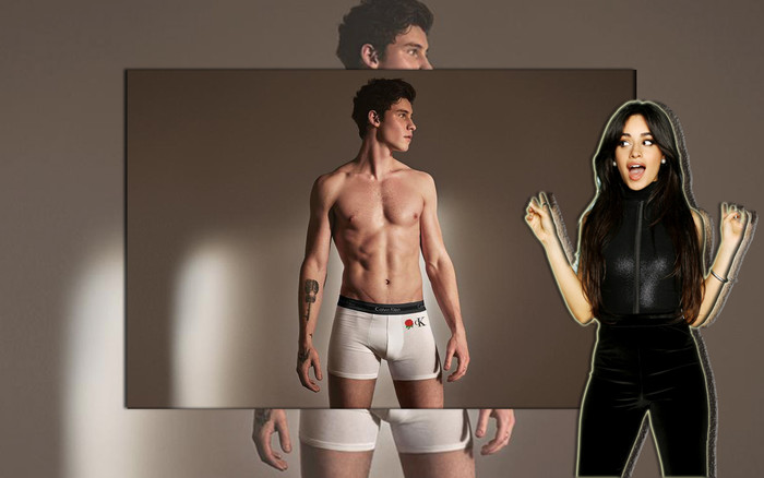 Camila Cabello: 'Tôi cùng Shawn Mendes sẽ diện đồ nội y để nhận thưởng nếu thắng cử tại lễ Grammy 2020' Ảnh 2