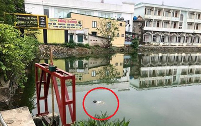 Người dân hoảng hốt phát hiện thi thể nam giới nổi trên mặt hồ ngày 30 Tết Ảnh 2