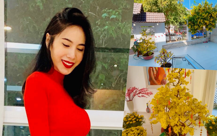 Thủy Tiên khoe vườn hoa rực rỡ, tự tay trang trí biệt thự triệu đô đón Tết Ảnh 2
