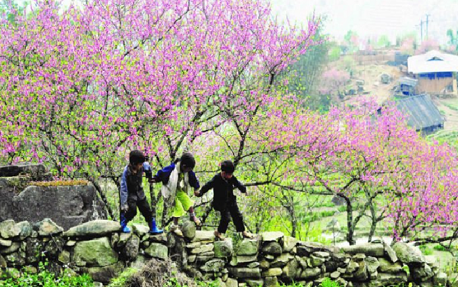 Dự báo thời tiết mùng 2 Tết Nguyên Đán (26/1): Miền Bắc tiếp tục có rét đậm Ảnh 2