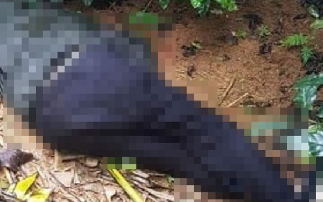 Vụ nổ súng đêm mùng 2 Tết khiến 3 người thương vong: Phát hiện thi thể nghi phạm cùng thư tuyệt mệnh Ảnh 2