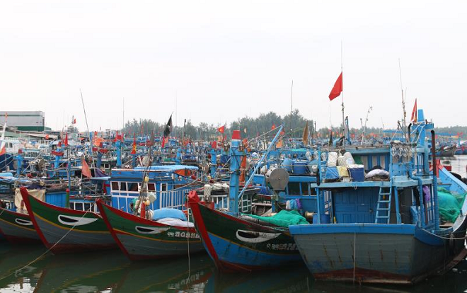 Xóm tỷ phú bám đảo Hoàng Sa Ảnh 2