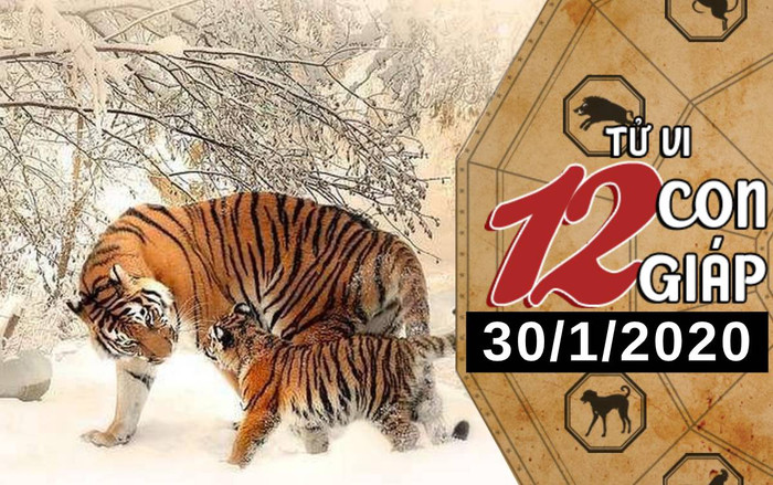 Tử vi thứ 5 ngày 30/1/2020 của 12 con giáp: Dần nên mạnh dạn bày tỏ tình cảm, Thìn có những thay đổi bước ngoặt về tài chính Ảnh 2