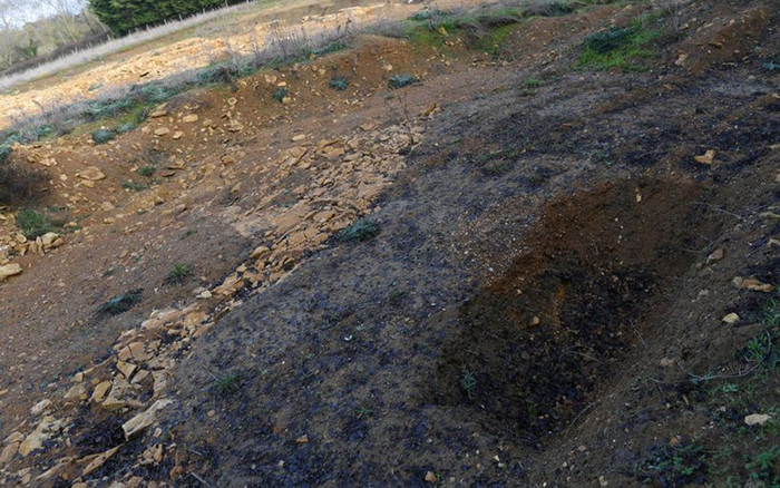 Phát hiện 42 thi thể bị trói quặt tay ra sau lưng trong trang trại cũ Ảnh 2