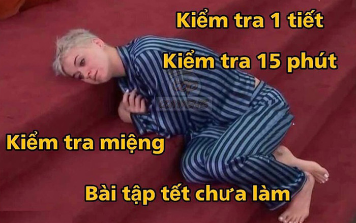 Loạt ảnh chế về nỗi 'ám ảnh' mang tên hết Tết của cư dân mạng Ảnh 2