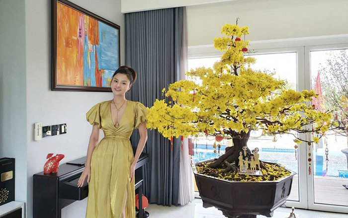 Trầm trồ trước căn biệt thự mới 'siêu hoành tráng' của Vũ Thu Phương và chồng đại gia sau 6 lần chuyển nhà Ảnh 2