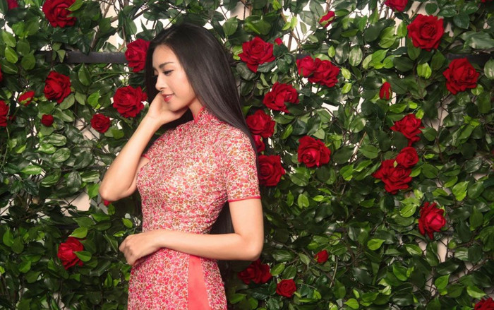 Bị chỉ trích đưa tin sai sự thật giữa đại dịch virus corona, Ngô Thanh Vân lên tiếng xin lỗi Ảnh 2