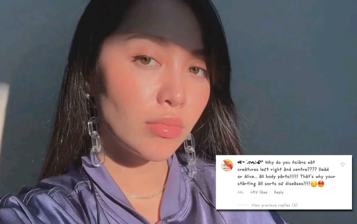 Giữa thời điểm coronavirus hoành hành, Michelle Phan đáp trả bình luận phân biệt chủng tộc trên Instagram Ảnh 2