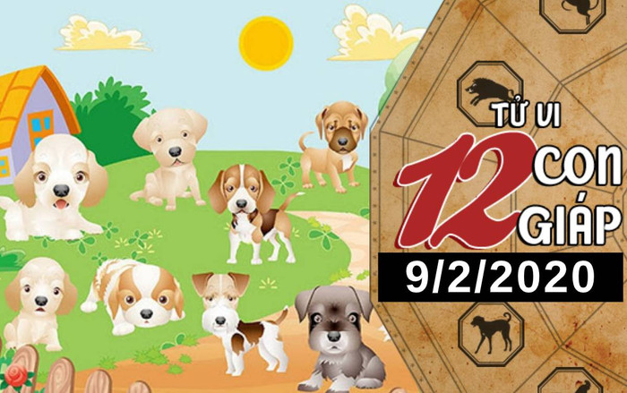 Tử vi chủ nhật ngày 9/2/2020 của 12 con giáp: Tuất cần cải thiện kỹ năng giao tiếp, Hợi chú ý sức khỏe Ảnh 2