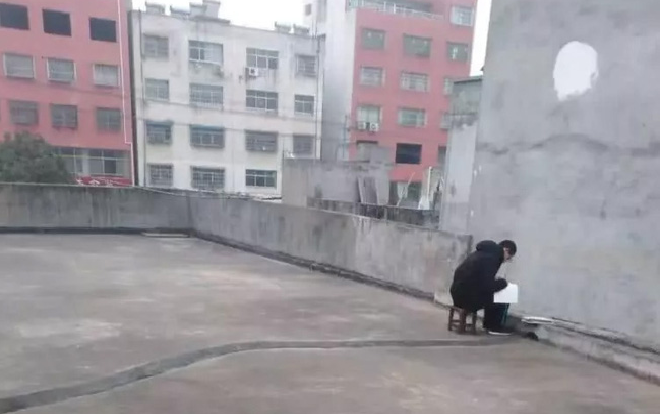 Được nghỉ học tránh virus Corona, cậu học sinh mỗi sáng lại lên sân thượng và lý do khiến ai cũng ‘cay khóe mắt’ Ảnh 2