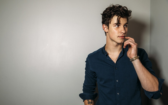 Giấc mơ của mọi cặp đôi: Shawn Mendes hát khúc tình ca trong đám cưới của nhân viên Ảnh 2