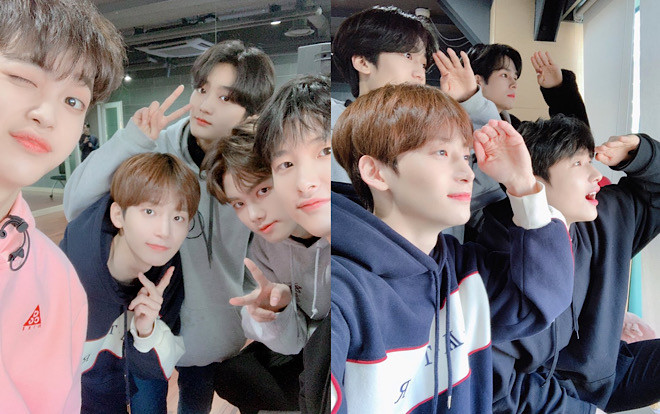 Nhan sắc nhóm tân binh 9 thành viên của Starship: Bao gồm Kang Min Hee và Song Hyung Jun (X1) Ảnh 2