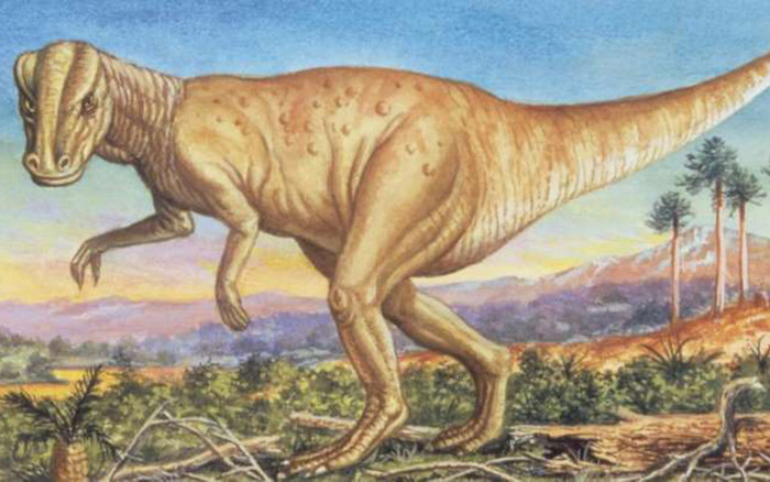 Phát hiện dấu tích bệnh ung thư hiếm gặp trong hóa thạch khủng long 66 triệu năm Ảnh 2