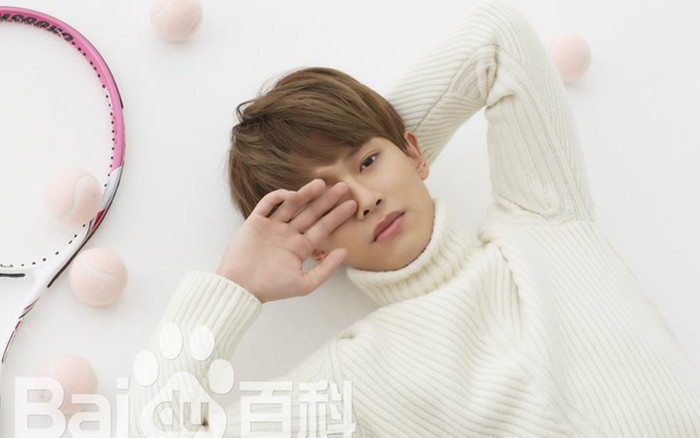 Vì sao lấy vợ có con ở thời kỳ phát triển sự nghiệp, Nhậm Gia Luân vẫn có thể nổi tiếng và hút fan? Ảnh 2