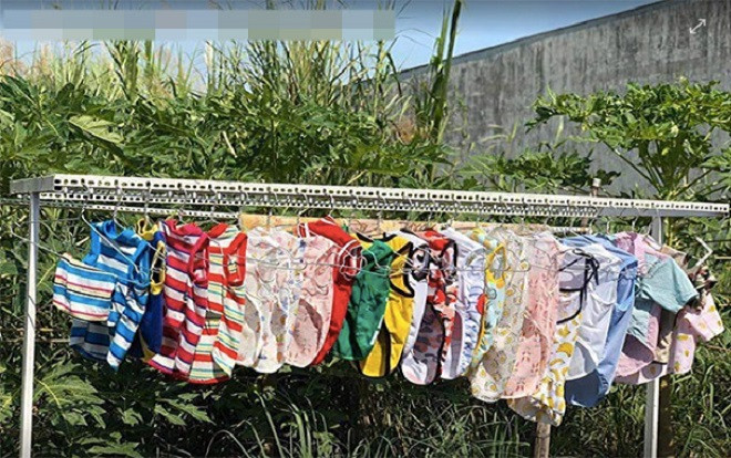Nữ sinh về quê ăn Tết bị hàng xóm đồn 'chửa hoang trên thành phố' vì phơi nhiều quần áo chó mèo Ảnh 2