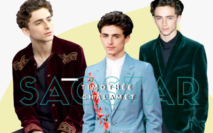 Những vai diễn ghi dấu ấn của tài tử điển trai thế hệ mới - Timothée Chalamet! Ảnh 2