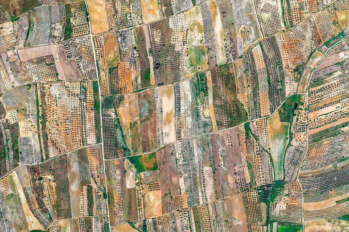 Villalba del Alcor. (Ảnh: Google)
