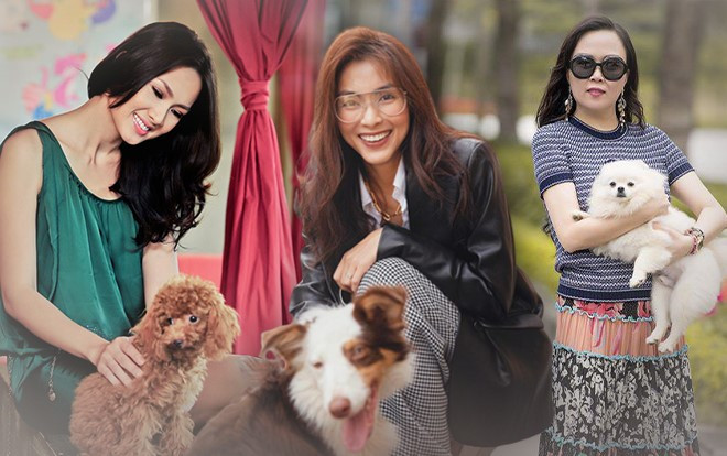 Sao Việt dắt thú cưng đi dạo, Hà Tăng như 'soái tỷ', Nam Em lại lộng lẫy tựa nữ hoàng Ảnh 2